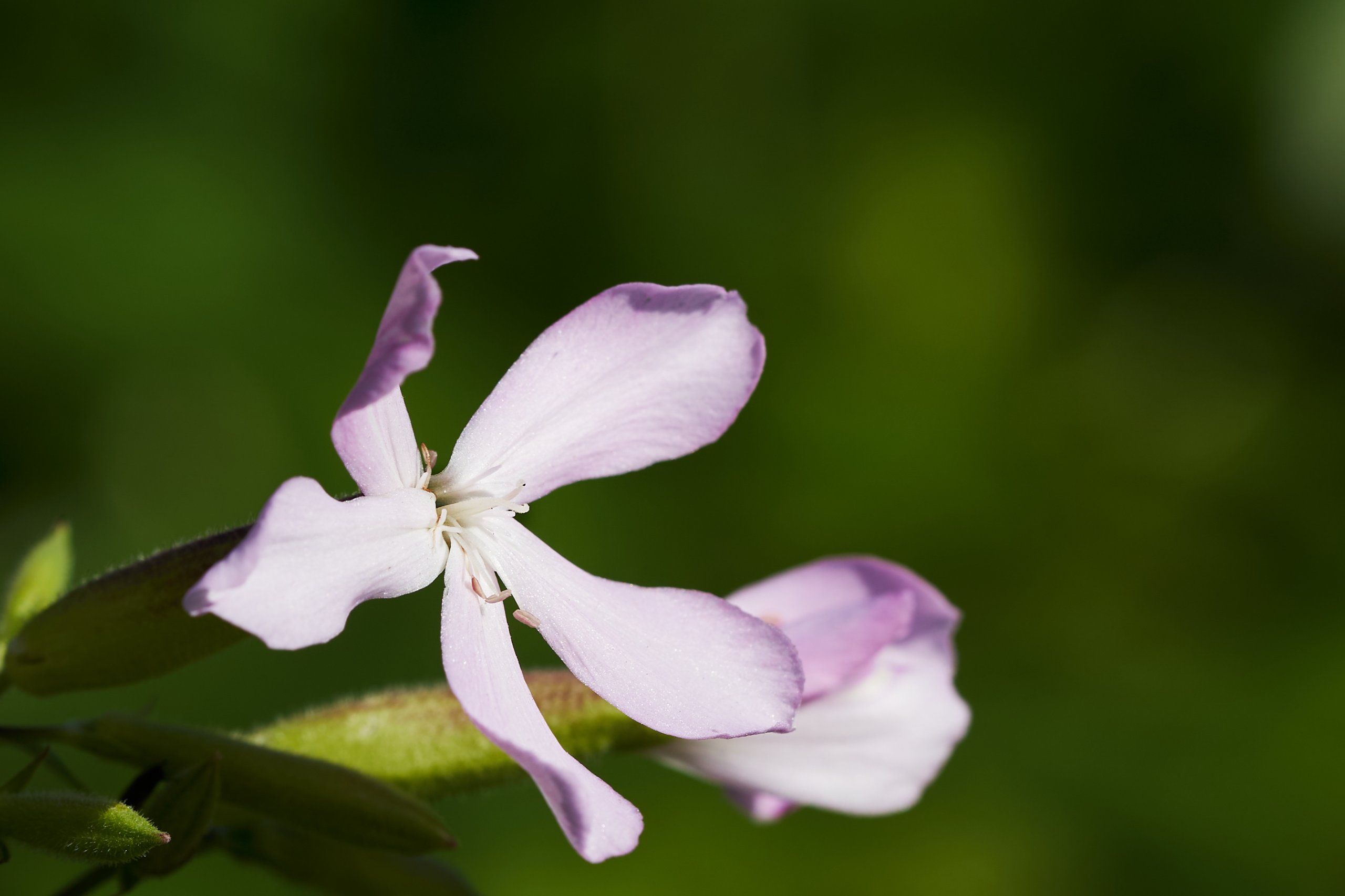 Landschaftspark Nord 0143